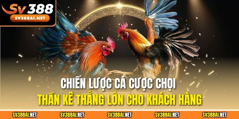Chiến lược cá cược chọi thần kê thắng lớn cho khách hàng