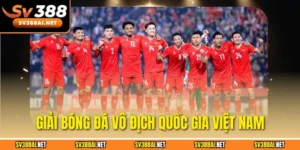 Giải bóng đá vô địch quốc gia Việt Nam