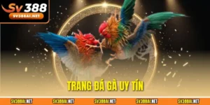 Trang đá gà uy tín