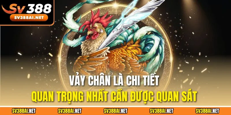 Vảy chân là chi tiết quan trọng nhất cần được quan sát