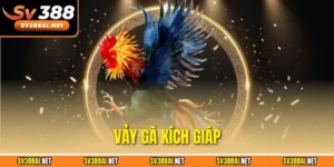 Vảy Gà Kích Giáp